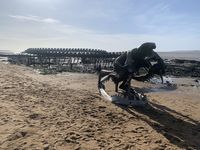 Serpent d'Océan - Saint Brévin