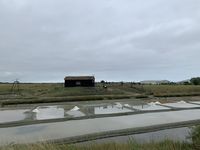 Marais Salant - Noirmoutier